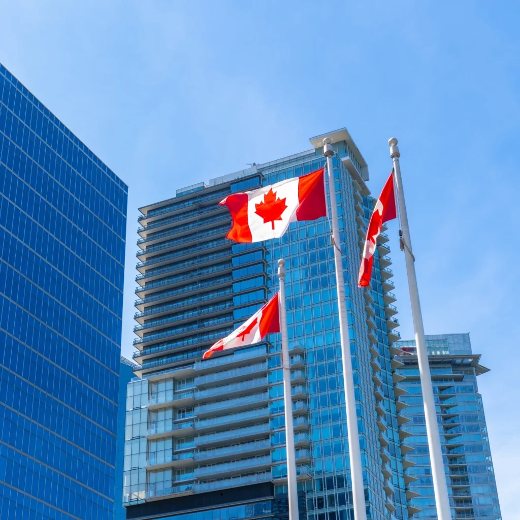 Modern dashboard showing small business growth strategies Canada for entrepreneurs.