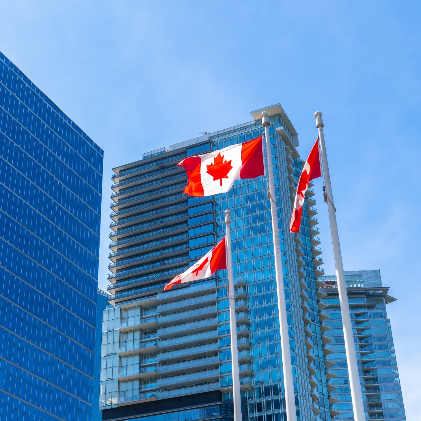 Modern dashboard showing small business growth strategies Canada for entrepreneurs.